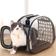 딩동펫 반려동물 알린 숄더 캐리어, 그레이, 1개