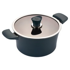 해피콜 인덕션 이든 곰솥냄비, 24cm, 스투키 그린, 1개