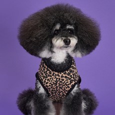 DOG-i 狗狗豹紋T恤, 棕色