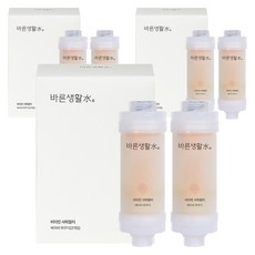 바른생활수 비타민 샤워필터, 6개, 베이비파우더