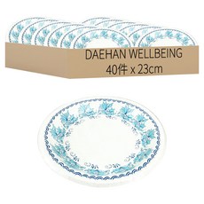 DAEHAN WELLBEING 歐風免洗盤 23cm, 1個, 40件