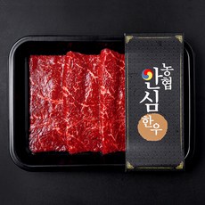 농협안심한우 보섭살 1등급 구이용 (냉장), 1개, 200g