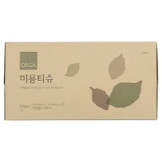올가홀푸드 미용 각티슈 2겹, 250매, 1개
