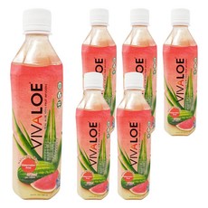 VIVALOE 纖薈 西瓜蘆薈果汁飲料，含真正蘆薈果肉, 500ml, 6瓶