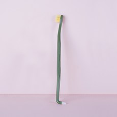 HAHAPET 寵物雙頭牙刷, 1個, 綠色