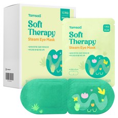 탐사 소프트 테라피 온열 스팀 찜질 아이마스크 포레스트향, 1개, 10개입