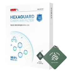detailing Air Hexaguard 暖氣空調濾網 防病毒 + 紙質芳香劑, HGF-004, 1套