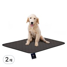 DING DONG PET 寵物可水洗尿墊, 2個, 1入