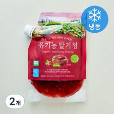 자연원 유기가공식품 인증 딸기청 (냉동), 500g, 2개