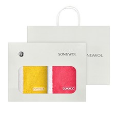 송월타월 컬러에이드 세면타월 코마사 30수 180g x 2p 선물세트 + 쇼핑백, 랜덤발송(세면타월), 1개