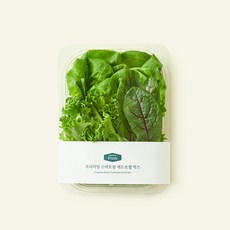 프리미엄 스마트팜 레드쏘렐 믹스, 100g, 1개, 1개입
