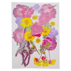 A-ONE 匯旺 真花壓花 大花包 Set 2個, 寶翠春天