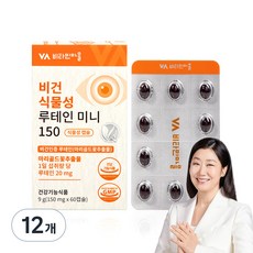 비타민마을 비건 식물성 루테인 미니, 60정, 12개