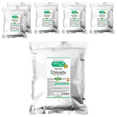 메디플라워 모델링 팩 클로렐라, 1개입, 6개