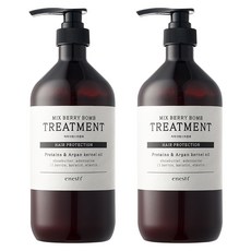 enesti 弱酸性綜合莓果蛋白質護髮素, 1kg, 2入