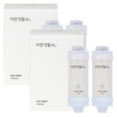 바른생활수 비타민 샤워필터, 4개, 무향