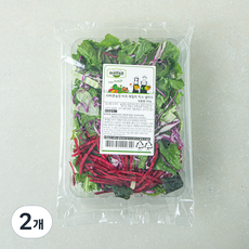 All바른농장 비트 패밀리 믹스 샐러드, 350g, 2개