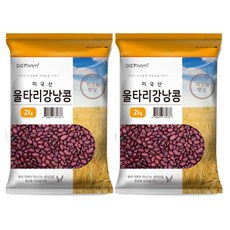 대구농산 울타리강낭콩, 2kg, 2개