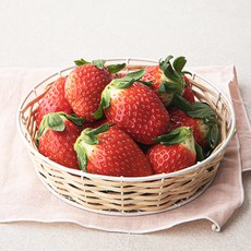 고령 GAP 한단 딸기(대과), 500g, 1팩