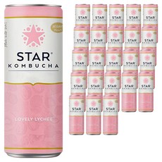 스타콤부차 러블리 리치, 250ml, 1개입, 24개