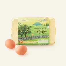 애월아빠들 무항생제 인증 1등급 제주 귤빛란 900g, 1개, 15구