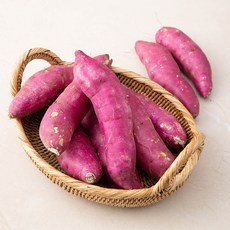 해남 꿀맛 밤고구마(대), 2kg, 1봉