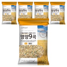 대구농산 황금비율의 간편한 조리 영양 9곡, 4kg, 5개