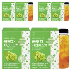 참앤들황토농원 데이앤 콤부차 샤인머스켓 5g x 60p + 전용보틀 세트, 30개입, 3세트
