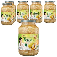 담터 꿀모과차, 1kg, 1개입, 6개