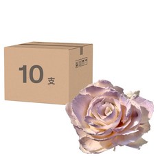 索拉花 碎邊牡丹 單顆裝, 霧紫