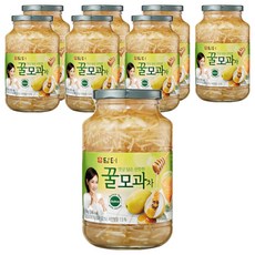 담터 꿀모과차, 1kg, 1개입, 8개