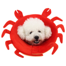 ZEZEPET 動物可愛護頸器 Y209PHP002, 1個