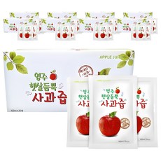 영주햇살듬뿍 사과즙, 100ml, 270개