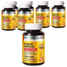 뉴트리디데이 프리미엄 프로폴리스, 180정, 7개