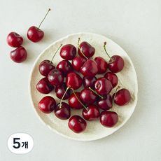 더네이처 캐나다산 체리, 300g, 5개