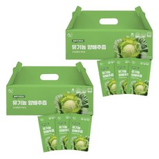 황금이네 농부가 만드는 양배추즙 100ml 30포, 3L, 2개