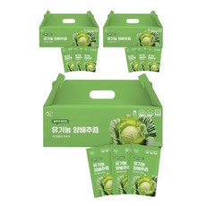황금이네 농부가 만드는 양배추즙 100ml 30포, 3L, 3개