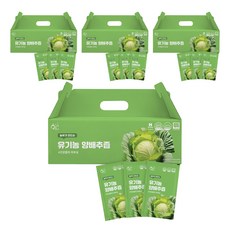 황금이네 농부가 만드는 양배추즙 100ml 30포, 3L, 4개
