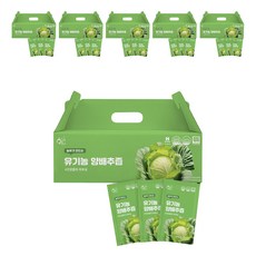 황금이네 농부가 만드는 양배추즙 100ml 30포, 3L, 6개