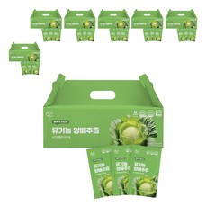 황금이네 농부가 만드는 양배추즙 100ml 30포, 3L, 7개