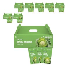 황금이네 농부가 만드는 양배추즙 100ml 30포, 3L, 8개