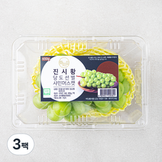 진시황 GAP 인증 비파괴당도선별 샤인머스켓, 3팩, 450g