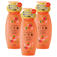 Kracie 葵緹亞 ICHIKAMI 女髮雙重保濕潤絲精, 480ml, 3瓶