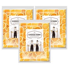 초이스팜 건오렌지 슬라이스 실속형, 3개, 150g