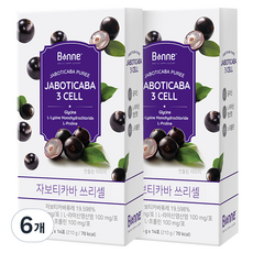 Bonne 雅致卡巴果泥 三細胞條裝, 210g, 6個