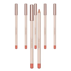 더샘 커버 퍼펙션 립 펜슬 2g, 08 러스티, 6개