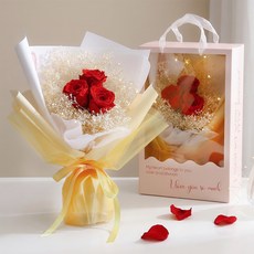 뷰티풀데코센스 생화 프리저브드 장미 안개꽃다발 + 핸들캐리어 + LED전구, 레드(꽃다발)