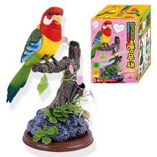 TOY GATE 學舌鸚鵡機器人玩具, 紅色