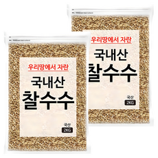 국내산 찰수수쌀, 2kg, 2개