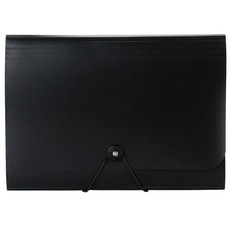 빅벅 아코디언 파일 수납 정리 13칸, 투명 블랙, 1개